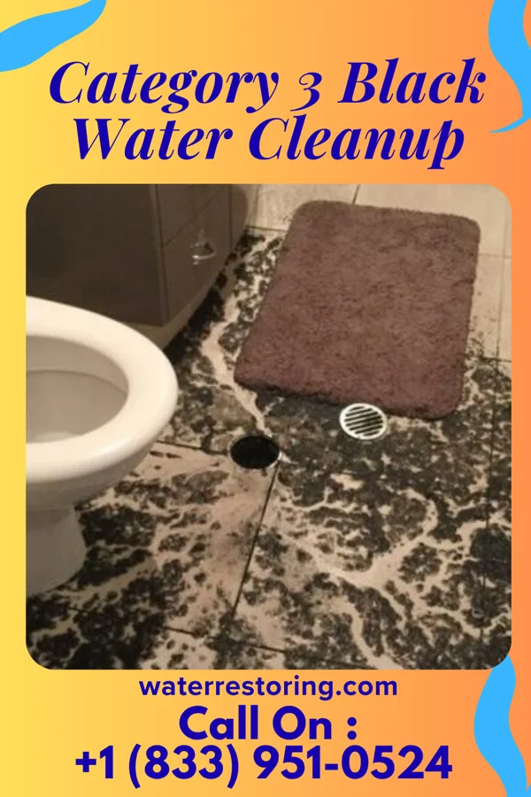 Category 3 Black Water Cleanup in Holly Hill, SC