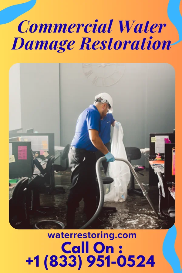 Commercial Water Damage Restoration in Holly Hill, SC