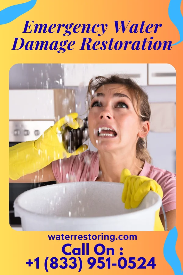 Emergency Water Damage Restoration in Holly Hill, SC